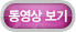동영상 보기