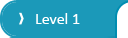 Level 1