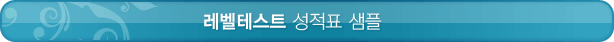 매드포스터디 레벨테스트 성적표 샘플