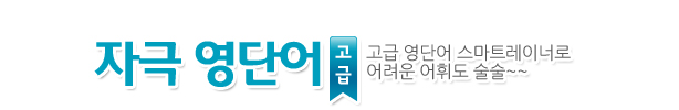 자극영단어 고급