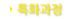특화과정